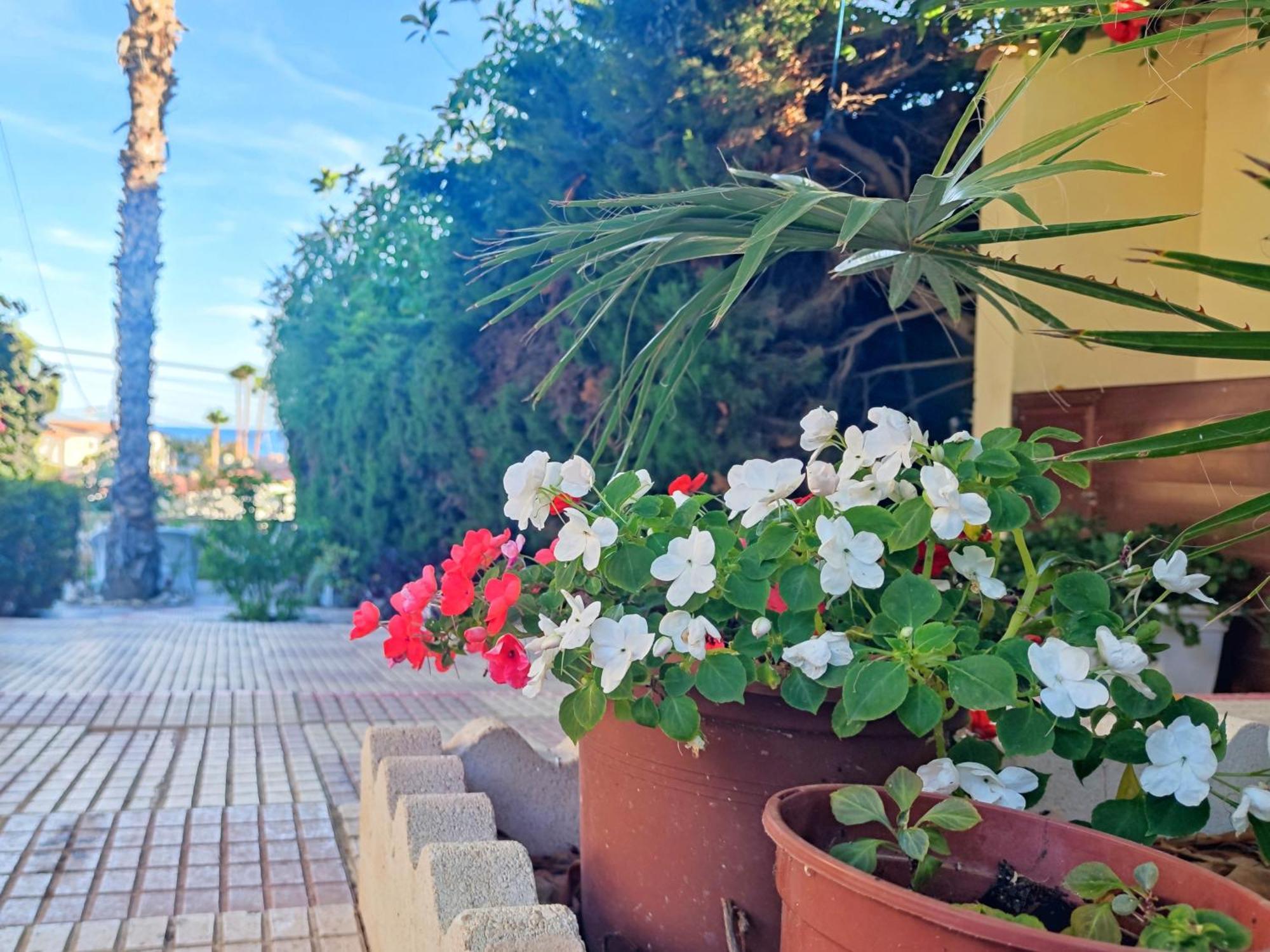 Casona Del Mar Terraza Y Vistas Al Mediterraneo El Campello Exterior foto